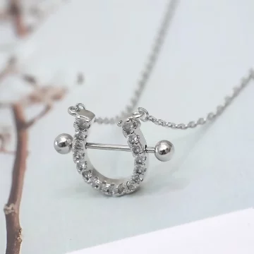 925銀飾&times;馬蹄晶鑽&times;鎖骨項鍊