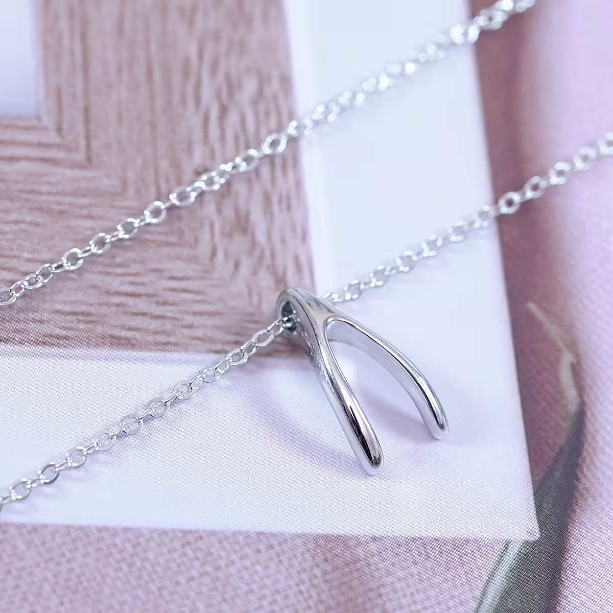 925銀飾&times;如願骨&times;鎖骨項鍊-第3張