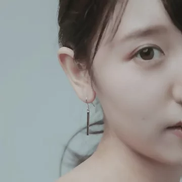 925銀針×一字長方桿×耳勾.avif