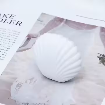 雪白貝殼×適用項鍊/手鍊/小耳釘×絨布盒