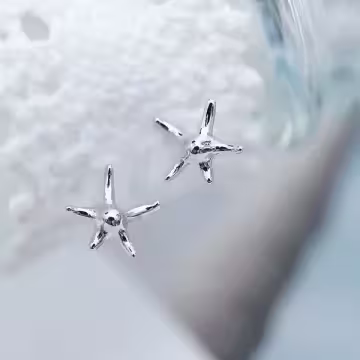 925銀針×五角海星×耳針