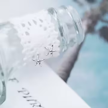 925銀針×五角海星×耳針