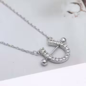 925銀飾×馬蹄晶鑽×鎖骨項鍊