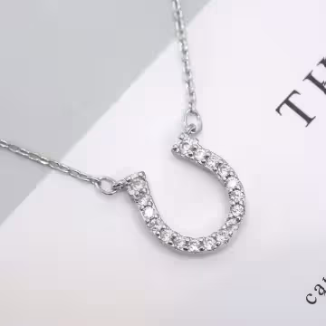 925銀飾×馬蹄晶鑽×鎖骨項鍊