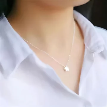 925銀飾×小星星×鎖骨項鍊 .avif