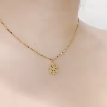 316鋼飾×雪花片×鎖骨項鍊×金色